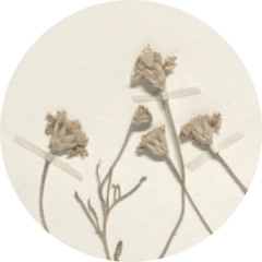 Delta 8 Carts and Delta 8 THC Gummies near me